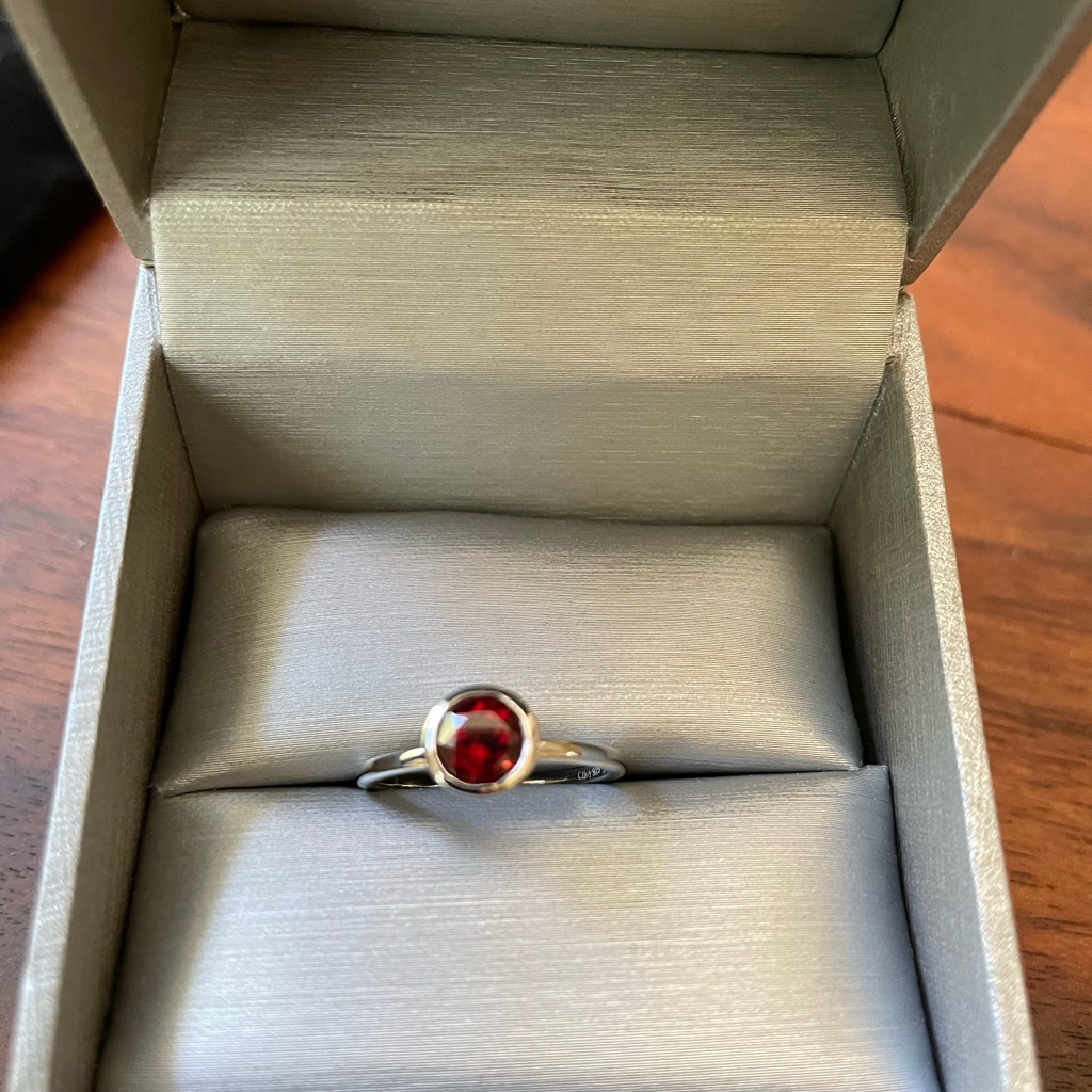 Garnet Ss Ring